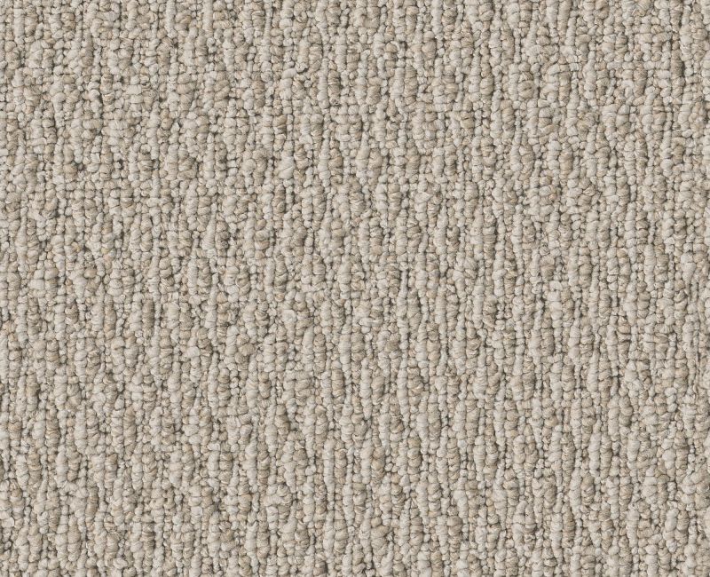 STONEBROOK Shaw carpet style 5E682 available through Carpet Tech. Of Virginia
