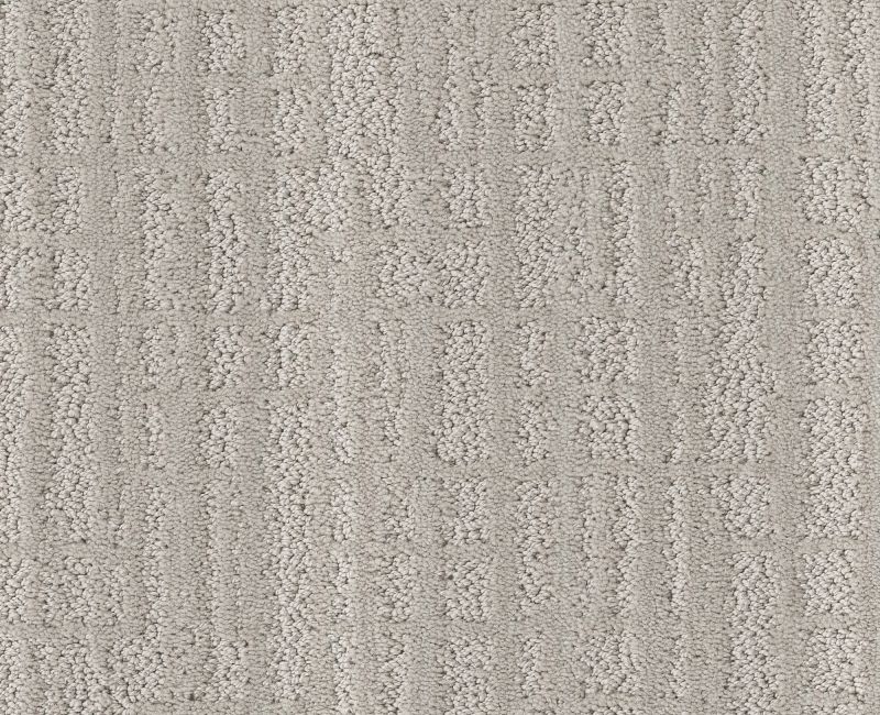 SKYLINE SHIFT Shaw carpet style 5E688 available through Carpet Tech. Of Virginia