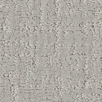 SHADY STROLL color sample SILVER CLO.. 00101