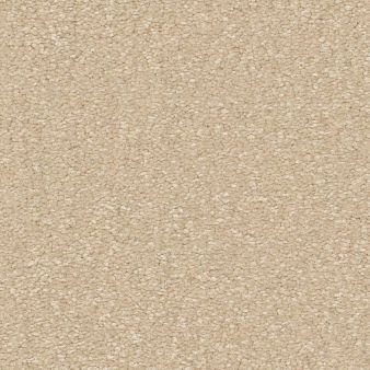 AWAKEN SPIRIT II 12' color sample SUNLIGHT 00100