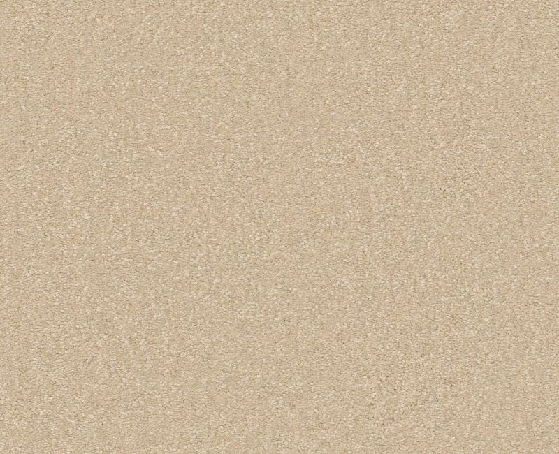 AWAKEN SPIRIT II 15' Shaw carpet style 5E692 available through Carpet Tech. Of Virginia