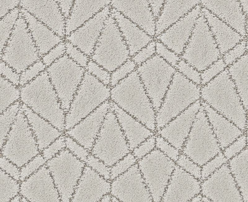 POINT OF VIEW Shaw carpet style 5E695 available through Carpet Tech. Of Virginia