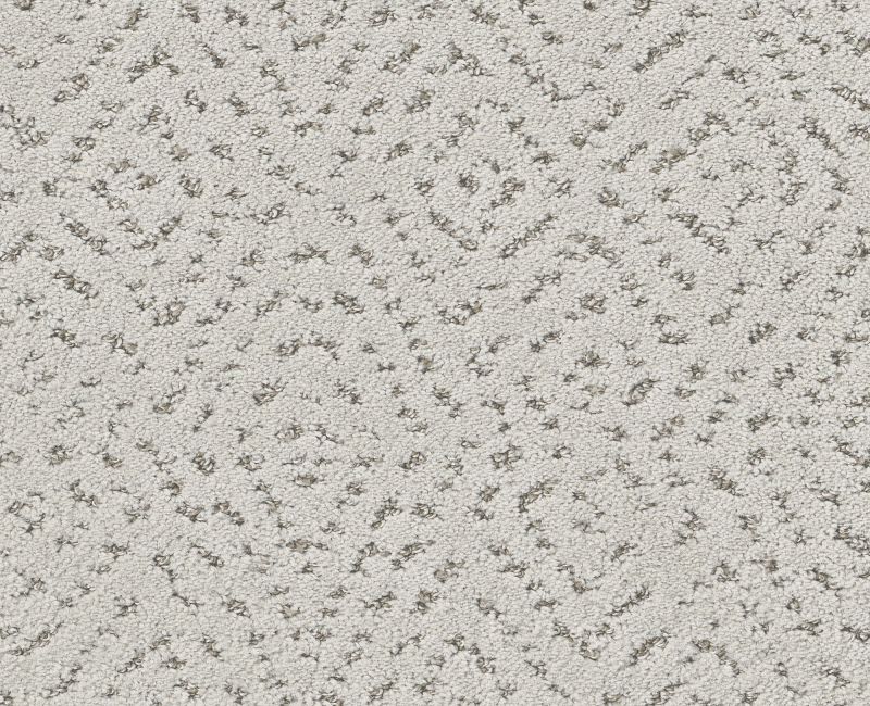 ELABORATE ARTIFACT Shaw carpet style 5E696 available through Carpet Tech. Of Virginia