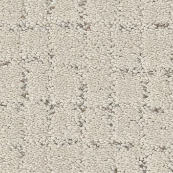 BLOCK PARTY color sample ALMOND SIL.. 00101