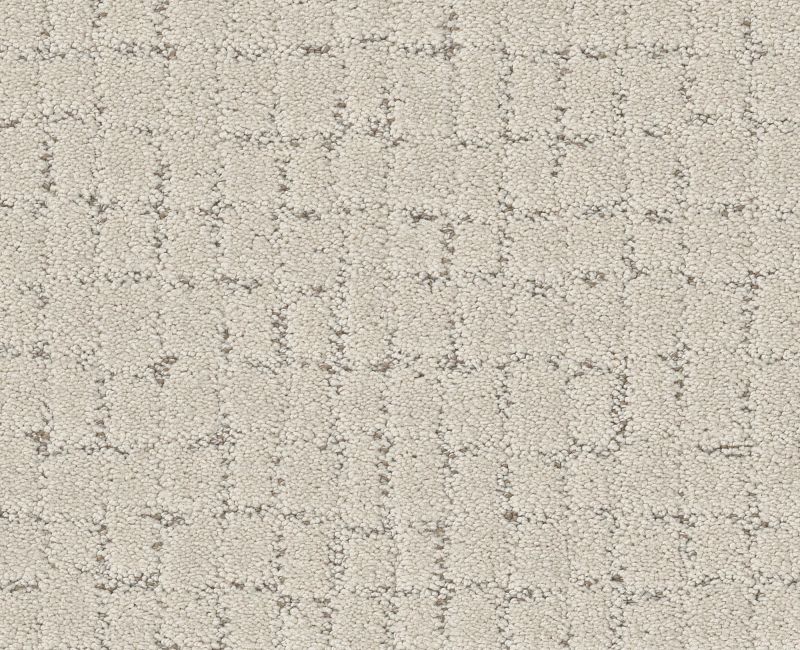 BLOCK PARTY Shaw carpet style 5E697 available through Carpet Tech. Of Virginia