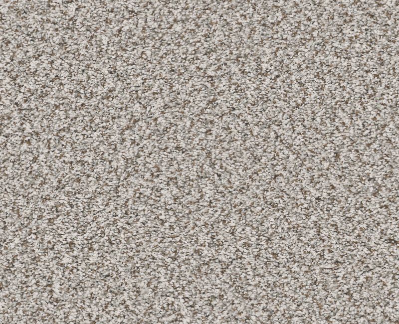 FEELIN' ALRIGHT Shaw carpet style 5E741 available through Carpet Tech. Of Virginia