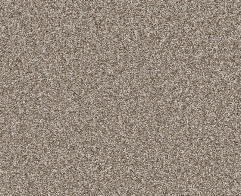 NEW ATTITUDE Shaw carpet style 5E743 available through Carpet Tech. Of Virginia