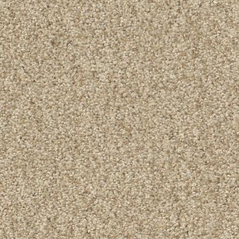 COMFORTING I color sample SESAME SEE.. 00130