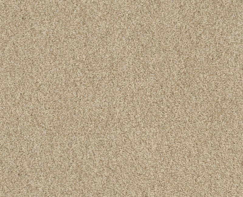 COMFORTING I Shaw carpet style 5E749 available through Carpet Tech. Of Virginia
