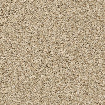 COMFORTING II color sample SESAME SEE.. 00130