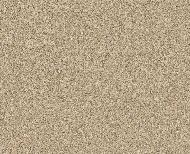COMFORTING II Shaw carpet style 5E750 available through Carpet Tech. Of Virginia