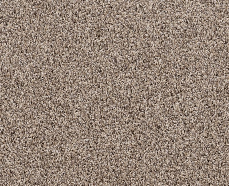 SOFT EFFERVESCENCE Shaw carpet style 5E783 available through Carpet Tech. Of Virginia