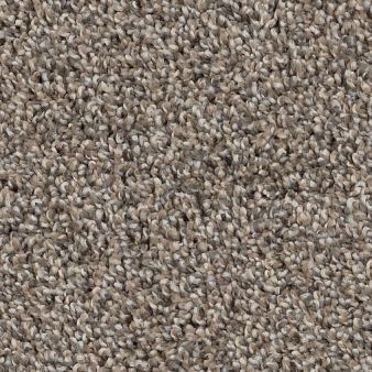 SOFT EFFERVESCENCE color sample NUTRIA 00102