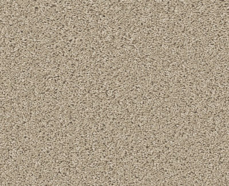 HIGH RANKING S Shaw carpet style 5E796 available through Carpet Tech. Of Virginia