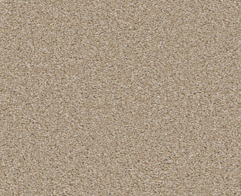 HIGH RANKING TNL Shaw carpet style 5E797 available through Carpet Tech. Of Virginia