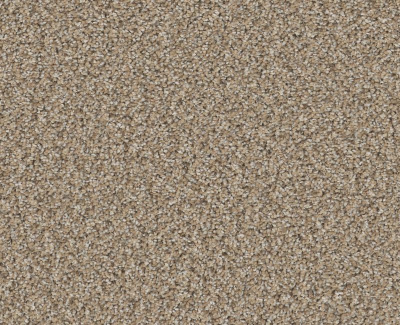 HIGH RANKING B Shaw carpet style 5E798 available through Carpet Tech. Of Virginia