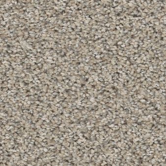 HIGH RANKING B color sample WIND 00137
