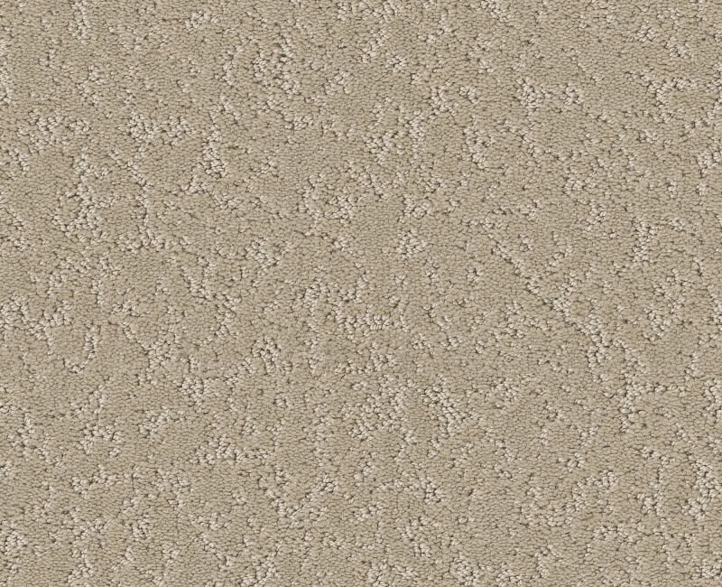 CLEVER CHOICE Shaw carpet style 5E808 available through Carpet Tech. Of Virginia