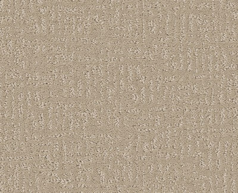 CLEVER DESIGN Shaw carpet style 5E809 available through Carpet Tech. Of Virginia