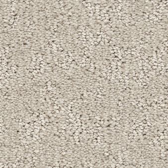 CLEVER BLEND color sample ALMOND SIL.. 00101