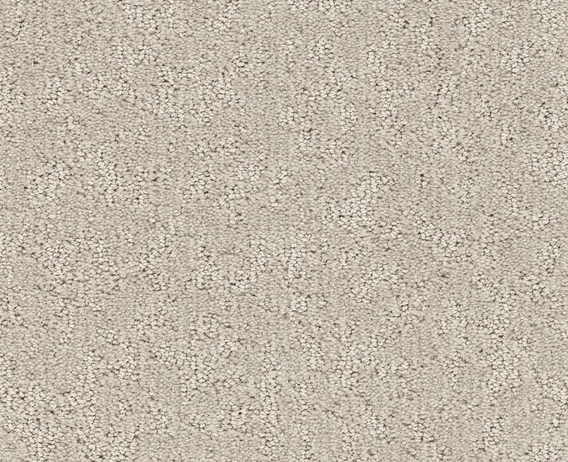 CLEVER BLEND Shaw carpet style 5E810 available through Carpet Tech. Of Virginia