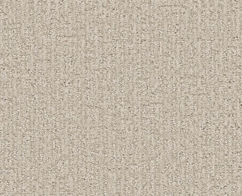 CLEVER ART Shaw carpet style 5E811 available through Carpet Tech. Of Virginia