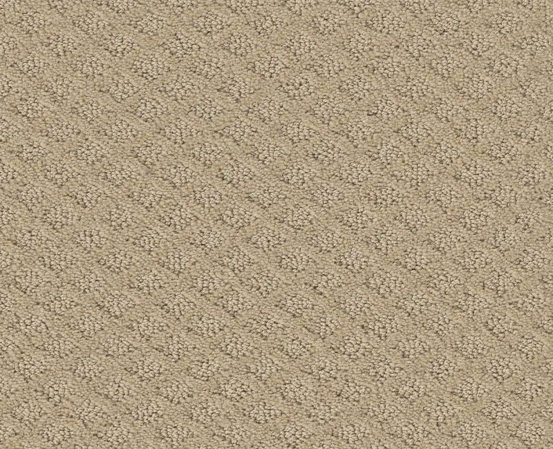 MIDLAND CHARM Shaw carpet style 5E818 available through Carpet Tech. Of Virginia