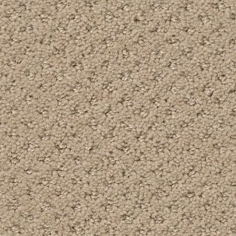 AUSTIN PARK color sample SOFT HONEY 00102