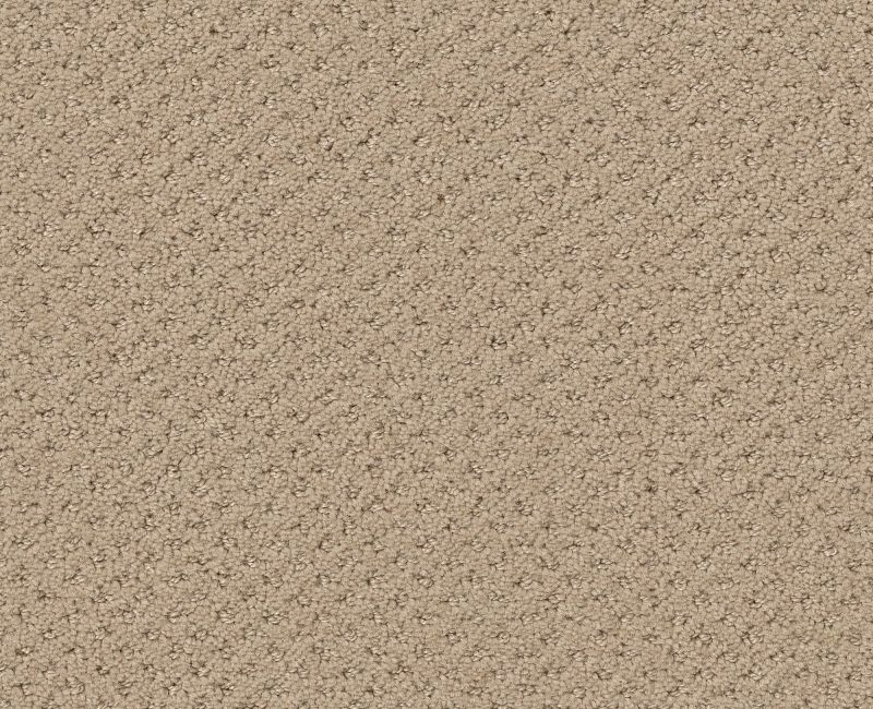 AUSTIN PARK Shaw carpet style 5E819 available through Carpet Tech. Of Virginia