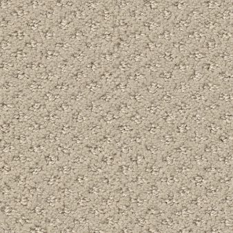 AUSTIN PARK color sample SENTIMENTA.. 00103