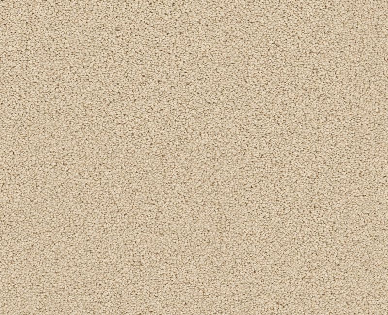 LAS CRUCES Shaw carpet style 5E820 available through Carpet Tech. Of Virginia
