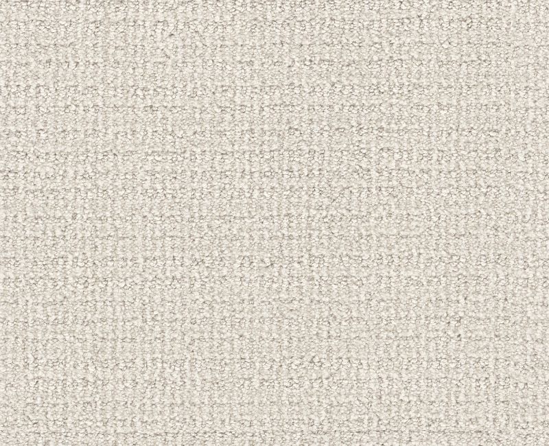 SIERRA VISTA Shaw carpet style 5E824 available through Carpet Tech. Of Virginia