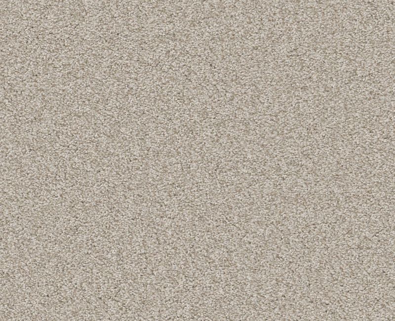 DEL RIO II Shaw carpet style 5E826 available through Carpet Tech. Of Virginia