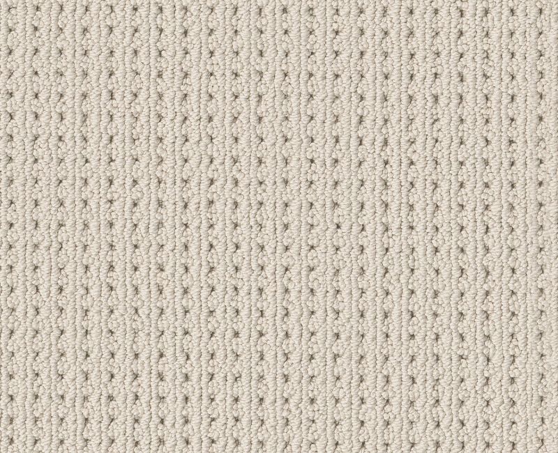 SAN ANTONIO Shaw carpet style 5E829 available through Carpet Tech. Of Virginia