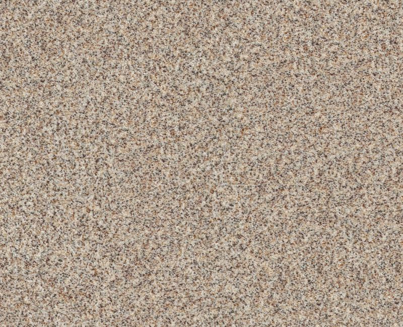 CANYON LAKE Shaw carpet style 5E830 available through Carpet Tech. Of Virginia