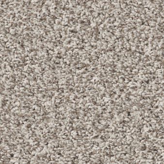 PRESCOTT VALLEY color sample SHORELINE .. 00112