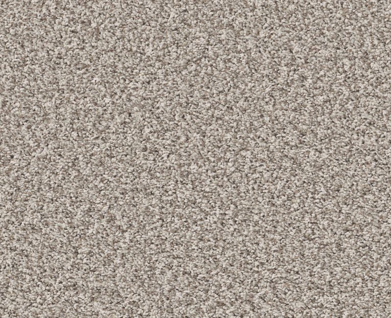 PRESCOTT VALLEY Shaw carpet style 5E831 available through Carpet Tech. Of Virginia