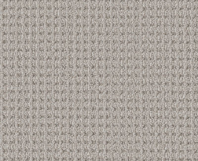 FINELY DETAILED Shaw carpet style 5E842 available through Carpet Tech. Of Virginia