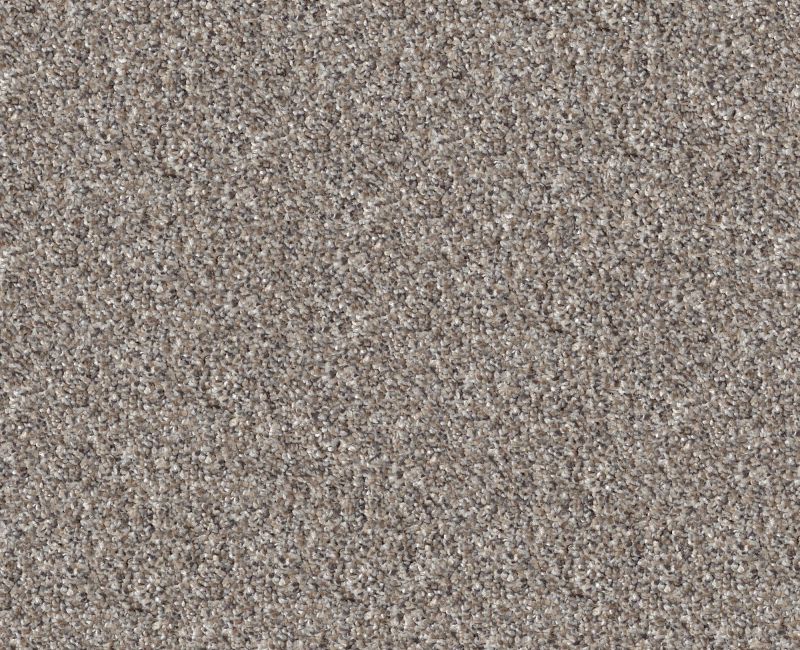 ELEVATED III Shaw carpet style 5E863 available through Carpet Tech. Of Virginia