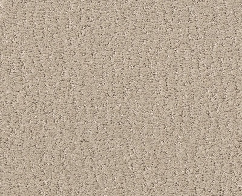 STUDIO SET Shaw carpet style 5E869 available through Carpet Tech. Of Virginia