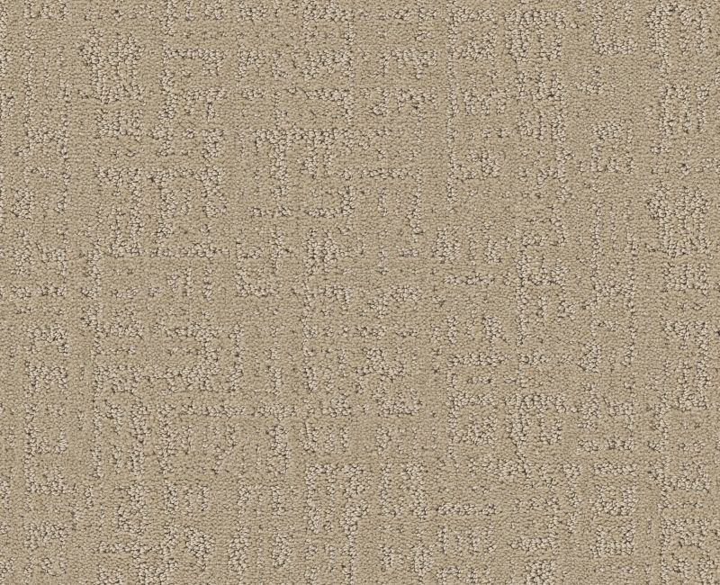 STUDIO PLAZA Shaw carpet style 5E870 available through Carpet Tech. Of Virginia