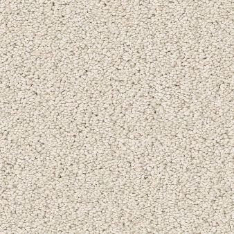 VELVET TOUCH I color sample NATURAL 00100