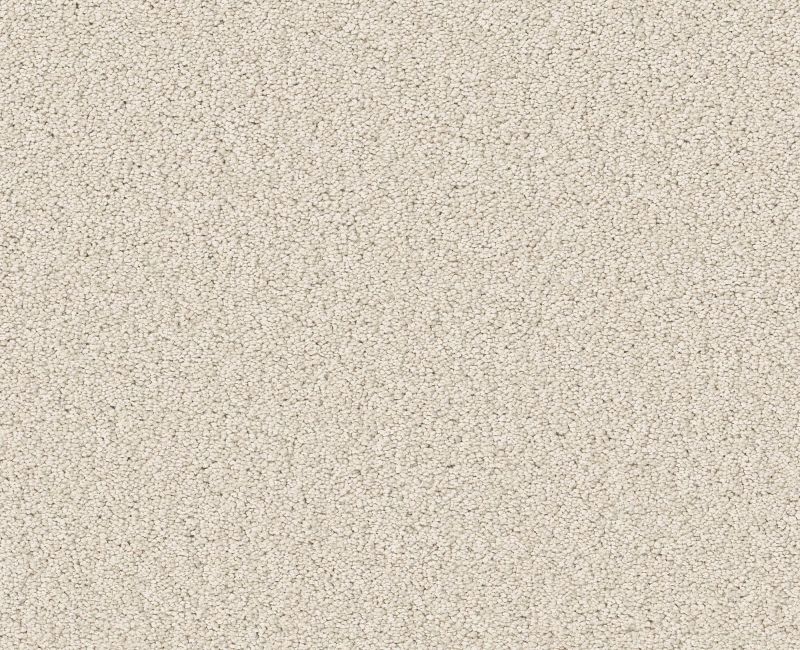 VELVET TOUCH I Shaw carpet style 5E871 available through Carpet Tech. Of Virginia