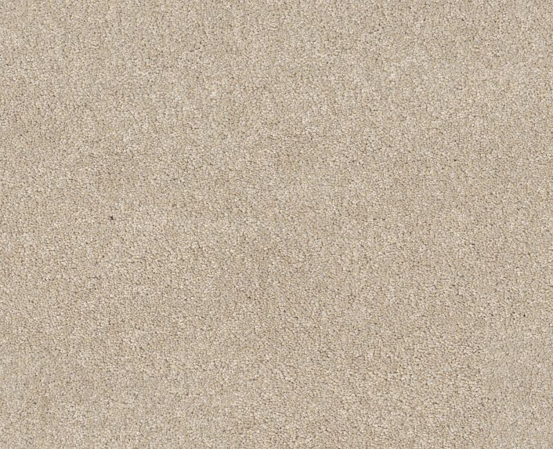 VIVID TOUCH II Shaw carpet style 5E874 available through Carpet Tech. Of Virginia