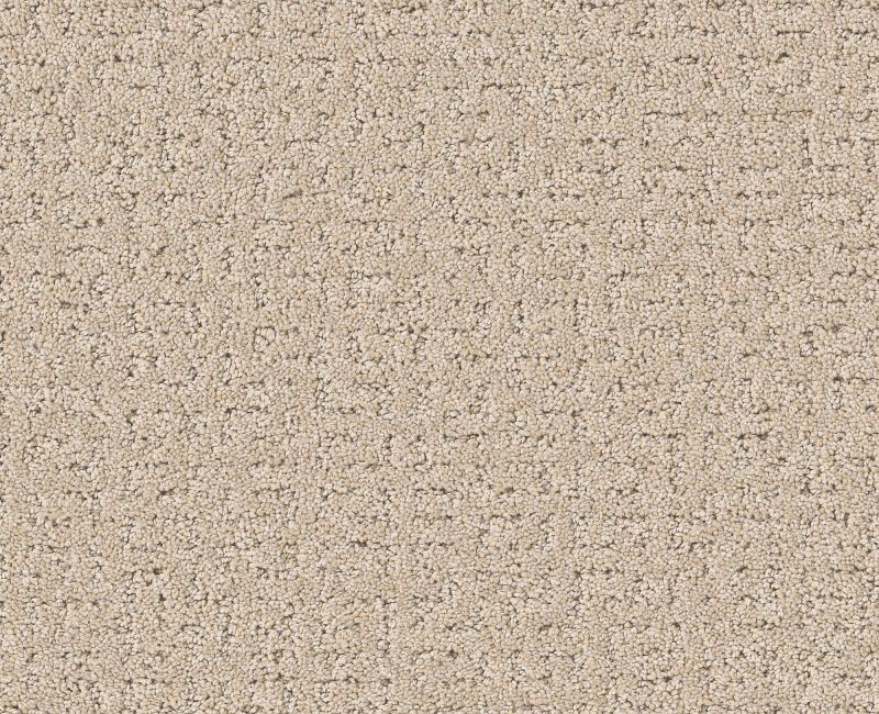 SECRET JOURNEY Shaw carpet style 5E875 available through Carpet Tech. Of Virginia