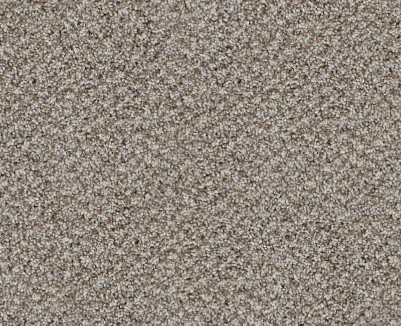 BREAK FREE Shaw carpet style 5E879 available through Carpet Tech. Of Virginia
