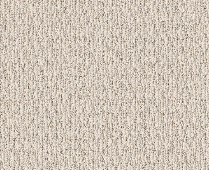COZY EMBRACE Shaw carpet style 5E881 available through Carpet Tech. Of Virginia