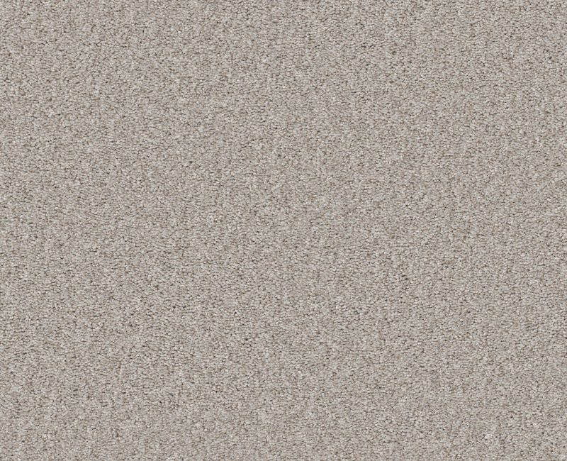 WONDERLAND II Shaw carpet style 5E887 available through Carpet Tech. Of Virginia
