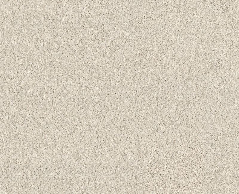 PURE AFFECTION S Shaw carpet style 5E889 available through Carpet Tech. Of Virginia