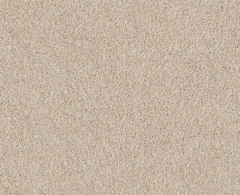 PURE AFFECTION T Shaw carpet style 5E892 available through Carpet Tech. Of Virginia